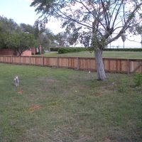 Wood fence project